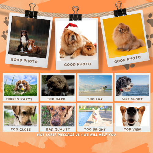 Custom Pet Photo Firefighter Blanket - Fire Background Action Style