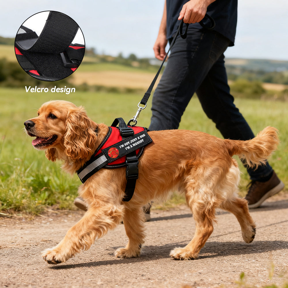 Feuerwehrhundegeschirr - Feuerwehrweste Malteser-Mix