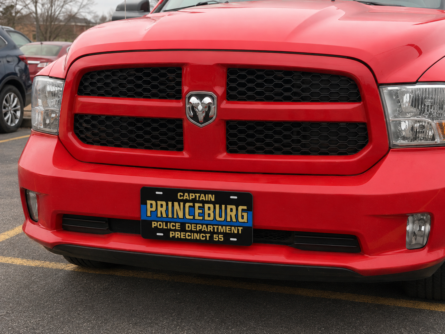 Personalized Police Blue Line License Plate