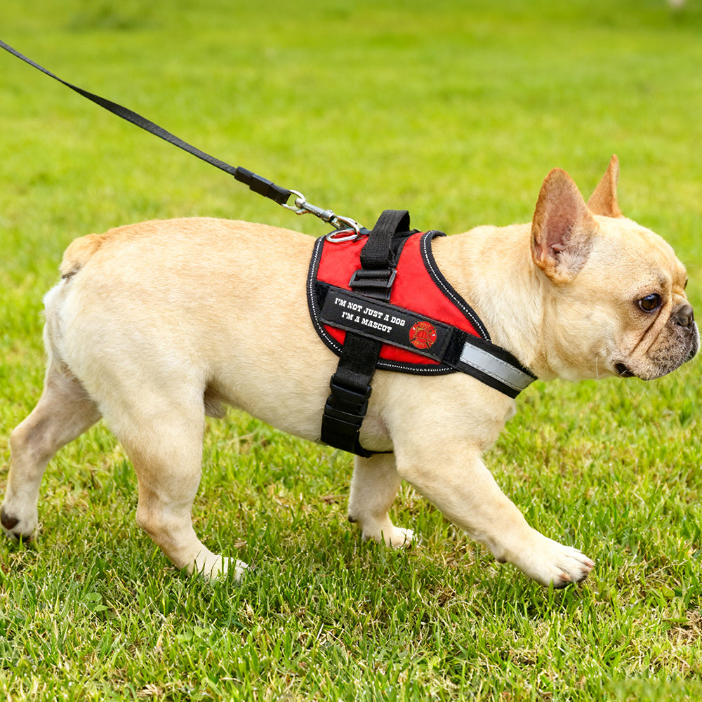 Feuerwehrhundegeschirr - Feuerwehrweste Malteser-Mix